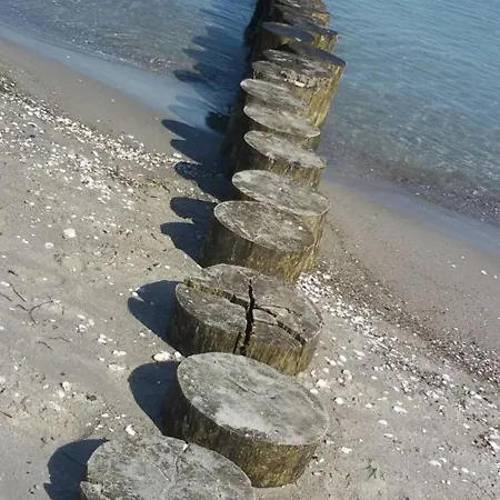 Attractive In Near Beach *